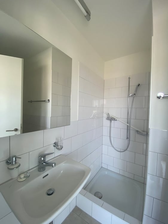 Dachwohnung mit Stil 7