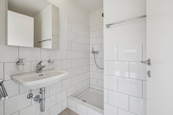 Dachwohnung mit Stil 6