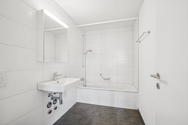 Traumhafte 3.5-Zimmer-Attikawohnung in Liestal zu vermieten 8