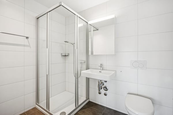 Traumhafte 3.5-Zimmer-Attikawohnung in Liestal zu vermieten 7