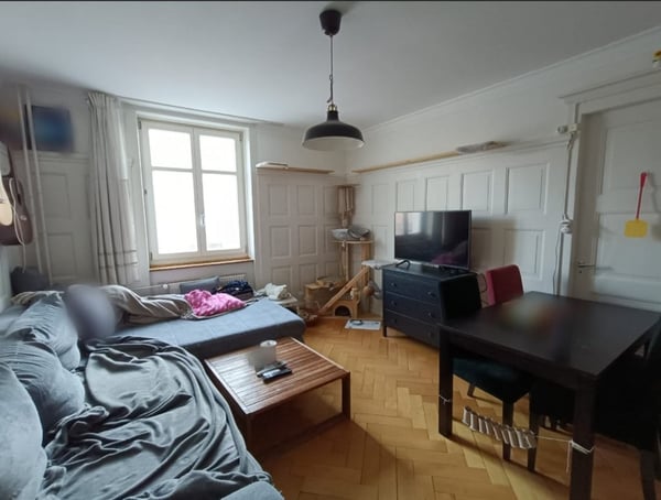 Grosszügige Wohnung mit Stil - nahe Kantonsspital 4