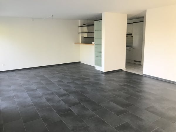 Helle und grosszügige Wohnung mit Seeblick 3