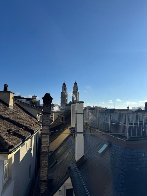 Sanierte 1.5-Zimmer-Loftwohnung über den Dächern von Zürich 8