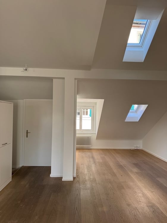 Sanierte 1.5-Zimmer-Loftwohnung über den Dächern von Zürich 3