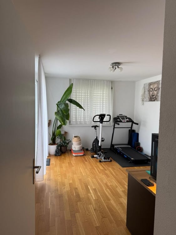 Moderne Attikawohnung an ruhiger Lage zu vermieten 6