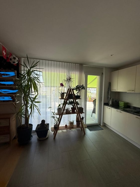 Moderne Attikawohnung an ruhiger Lage zu vermieten 2
