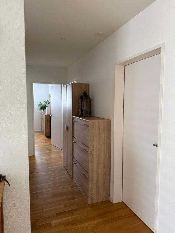 Moderne Attikawohnung an ruhiger Lage zu vermieten 9
