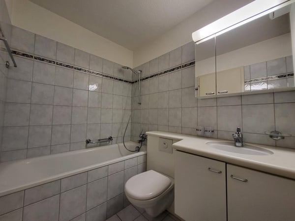1-Zimmerwohnung an der Burgstr. 59 in Uster befristet bis 30.09.2027 6