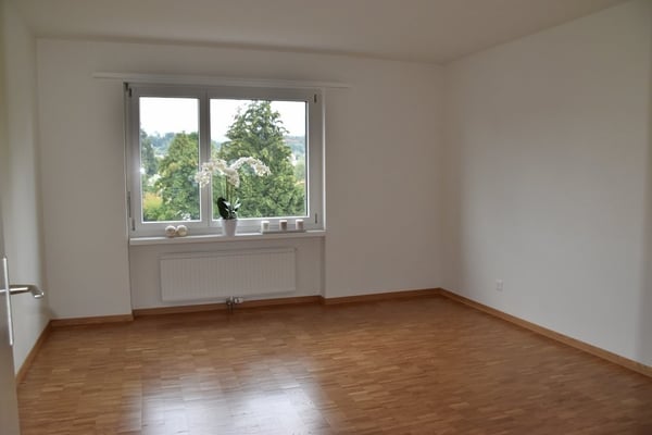 Ihre neue Wohlfühloase in Wetzikon 4