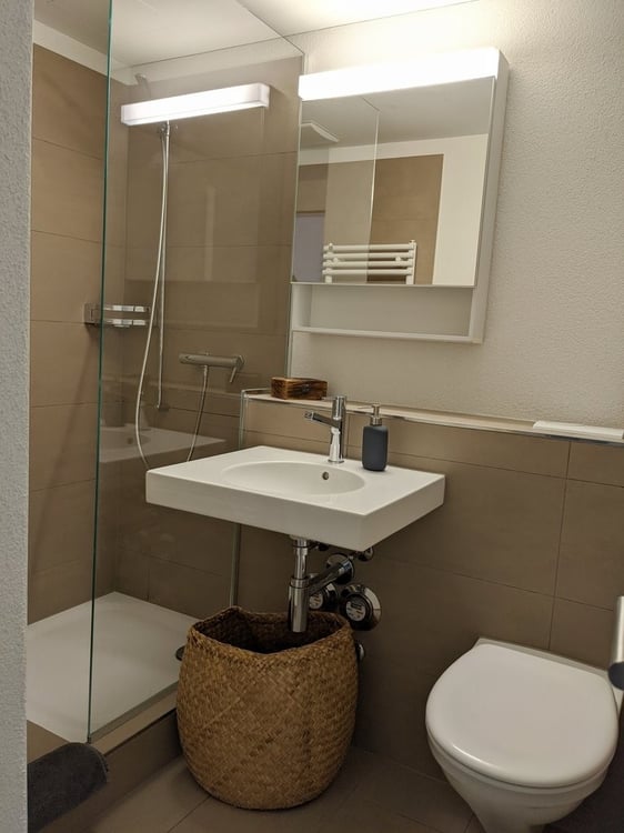 Moderne 1.5-Zimmer-Wohnung im Grünen zu vermieten 5