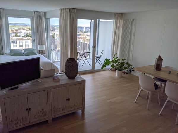 Moderne 1.5-Zimmer-Wohnung im Grünen zu vermieten 2