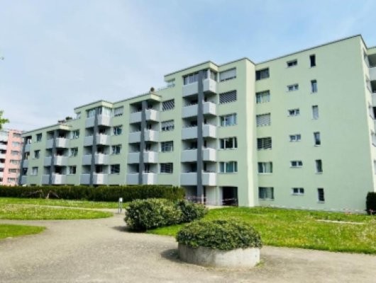 Helle 3.5 Zimmer-Wohnung an ruhoger Lage in Niederhasli 1