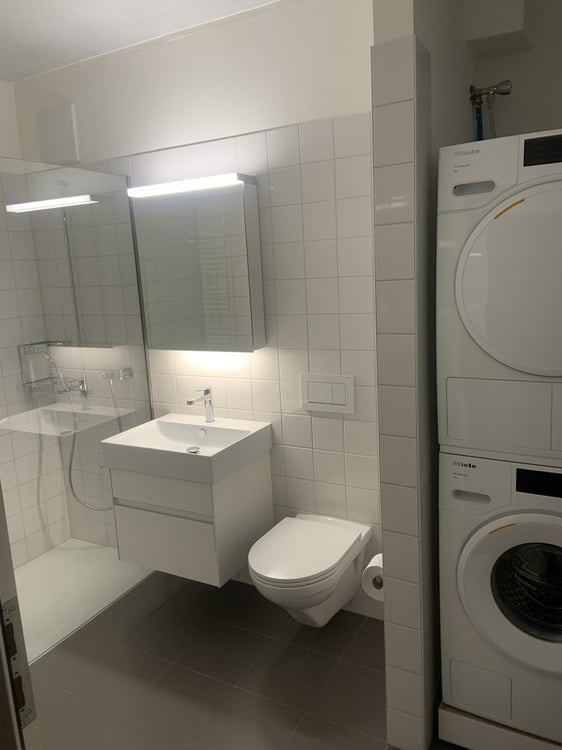 Klein, charmant, voller Möglichkeiten - perfekte 1.5-Zimmerwohnung 5