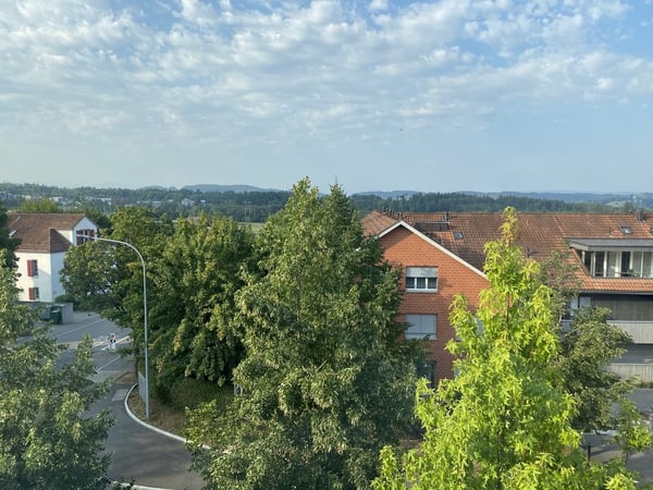 Schöne 3.5 Zimmer-Wohnung mit grosszügigem Grundriss in Uitikon 11