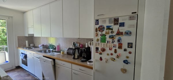 Sonnige und neu gestrichene Wohnung in Zürich Kreis 10 3