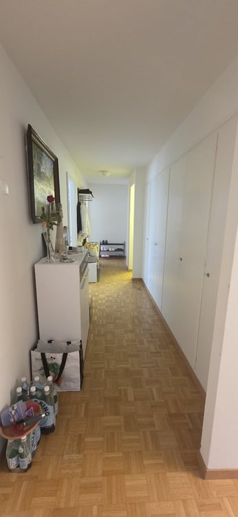 Sonnige und neu gestrichene Wohnung in Zürich Kreis 10 2