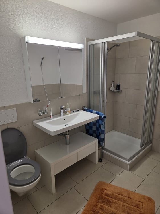 Helle 3.5-Zimmerwohnung am Rhein - Wohnen in Eglisau mit Charme 6