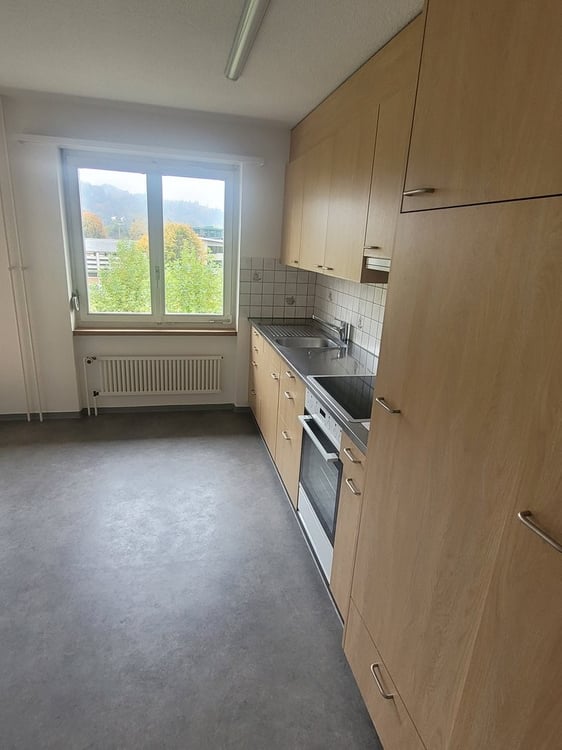 Wohnen an ruhiger, grüner Lage im schönen Malters 3