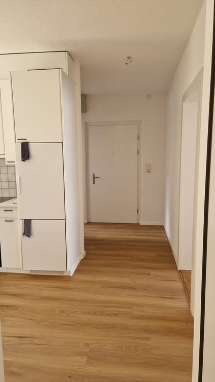 Nähe Bahnhof Wollishofen - renovierte 3-Zimmer-Wohnung 4