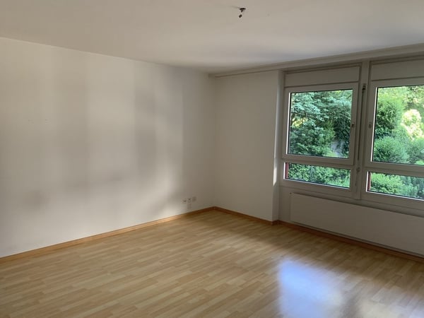 1 Zimmer-Loft, 4303 Kaiseraugst 5