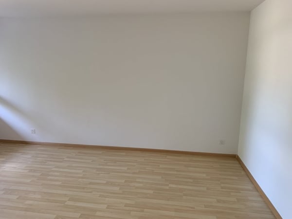 1 Zimmer-Loft, 4303 Kaiseraugst 4
