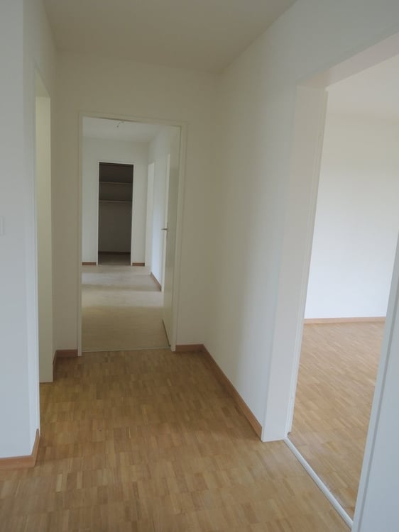Schöne helle 3.5 Zimmerwohnung in Wetzikon ZH 4