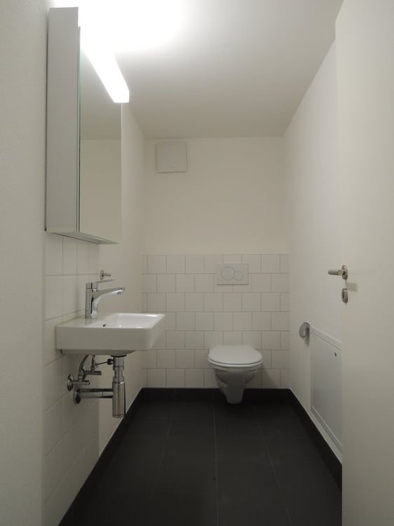 moderne Wohnung in Thalwil (autoarmes wohnen) 5