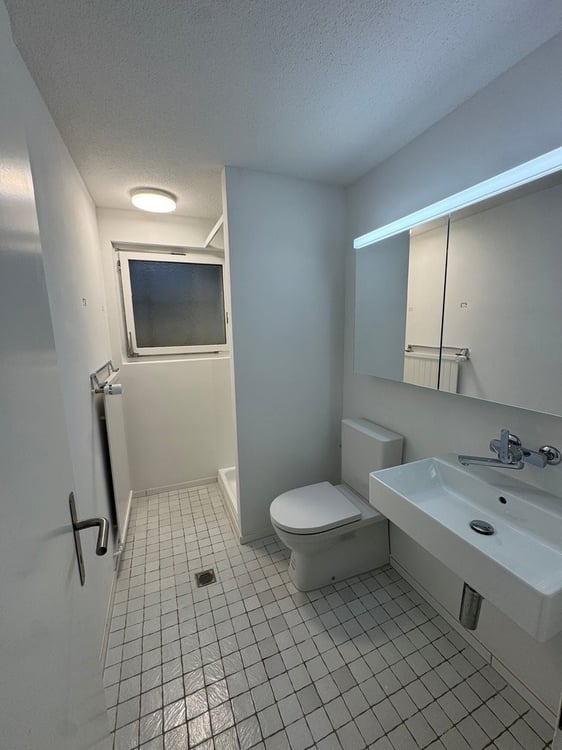 Frisch saniertes 4.5-Zimmer-Einfamilienhaus mit traumhafter Seesicht 9