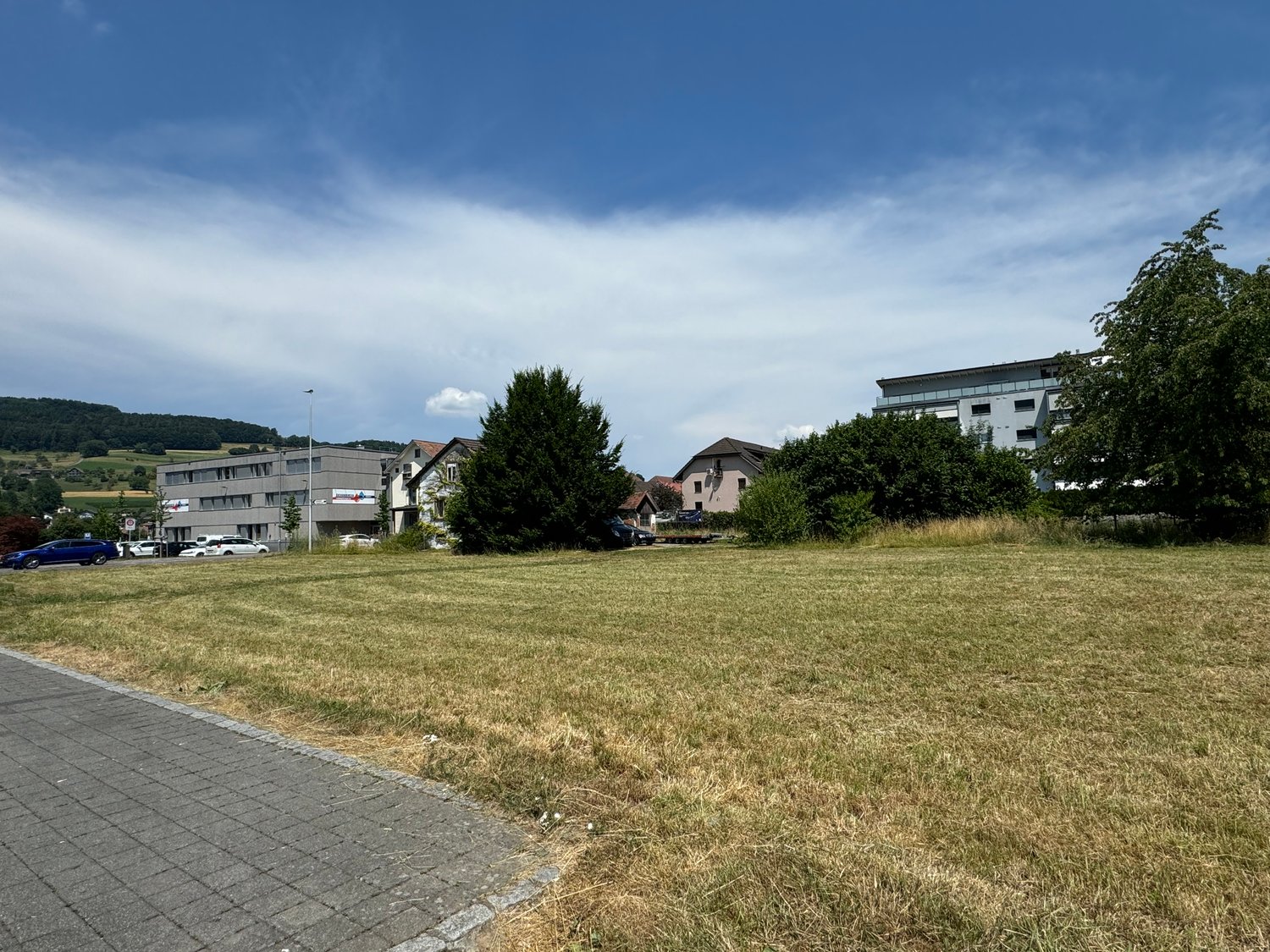 Large open green field, few trees and bushes, street with parking spaces, a few buildings in the background, and cars parked in front of buildings.