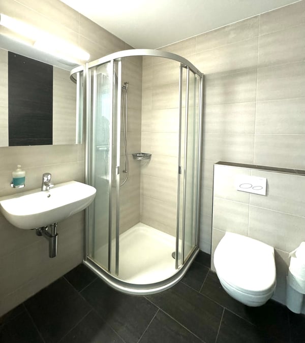 Moderne, lichtdurchflutete 5.5-Zimmer-Wohnung mit gedecktem Balkon und See-Sicht 9