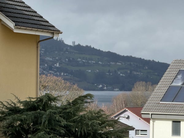 Moderne, lichtdurchflutete 5.5-Zimmer-Wohnung mit gedecktem Balkon und See-Sicht 3