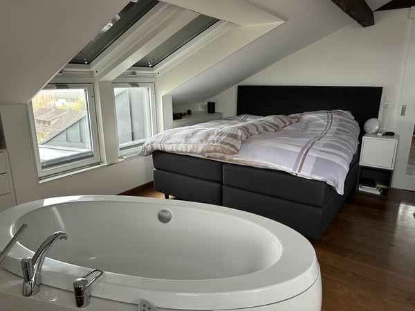 Komfortable 1.5-Zimmer-Attika-Wohnung 2