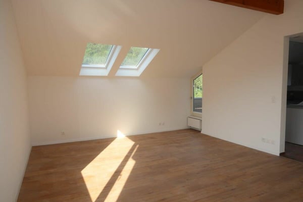 Neu Sanierte 2.5-Zimmer-Wohnung in Stallikon! 4