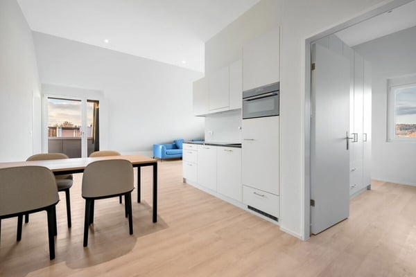 Möblierte 4.5 Attika-Wohnung im Herzen von Oerlikon 2