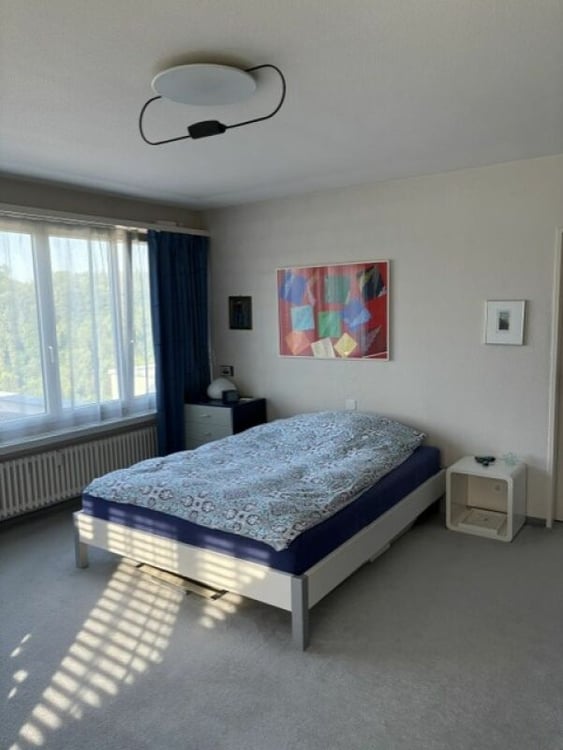 Ferienfeeling garantiert - Grosszügige Terrassenwohnung mit Weitblick 14