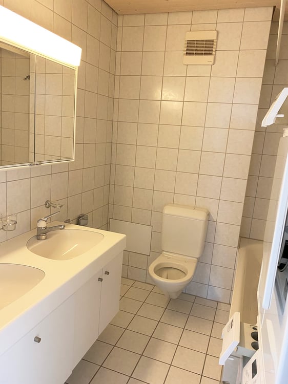 grosse helle Dachwohnung mit viel Charme 5