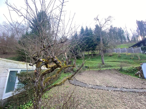 Charmantes Familienheim mit üppigem Garten 3