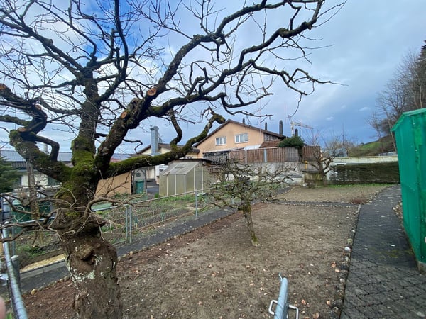 Charmantes Familienheim mit üppigem Garten 4