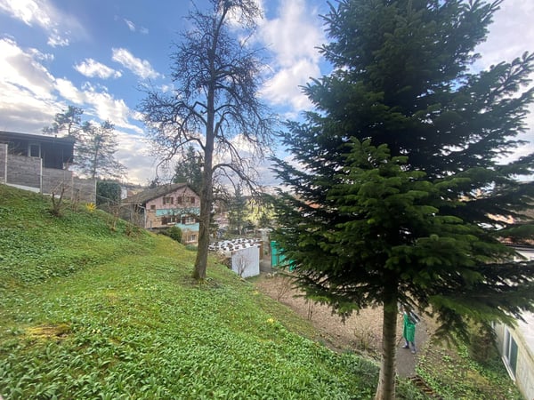 Charmantes Familienheim mit üppigem Garten 15