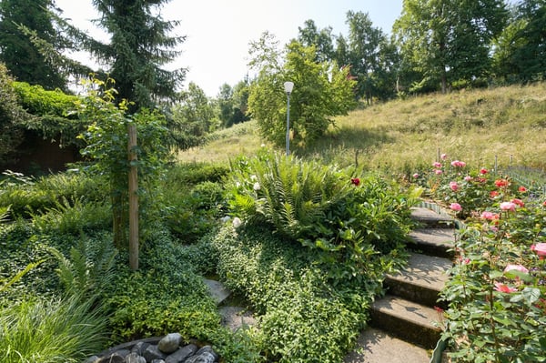 1.5-Zimmer-Einfamilienhaus mit traumhafter Seesicht in Steckborn 3