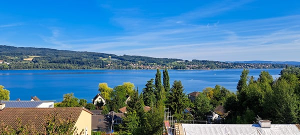 1.5-Zimmer-Einfamilienhaus mit traumhafter Seesicht in Steckborn 5