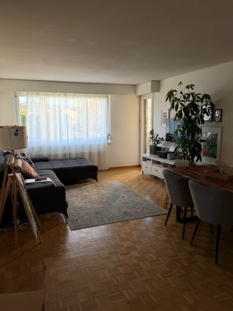 gemütliche 3.5-Zimmerwohnung in Dübendorf 1