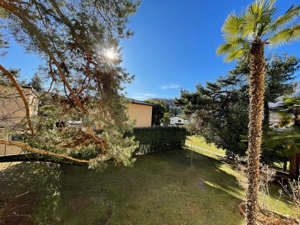 COMODO E SPAZIOSO 1.5 LOC. NEL VERDE A DUE PASSI DAL CENTRO 3