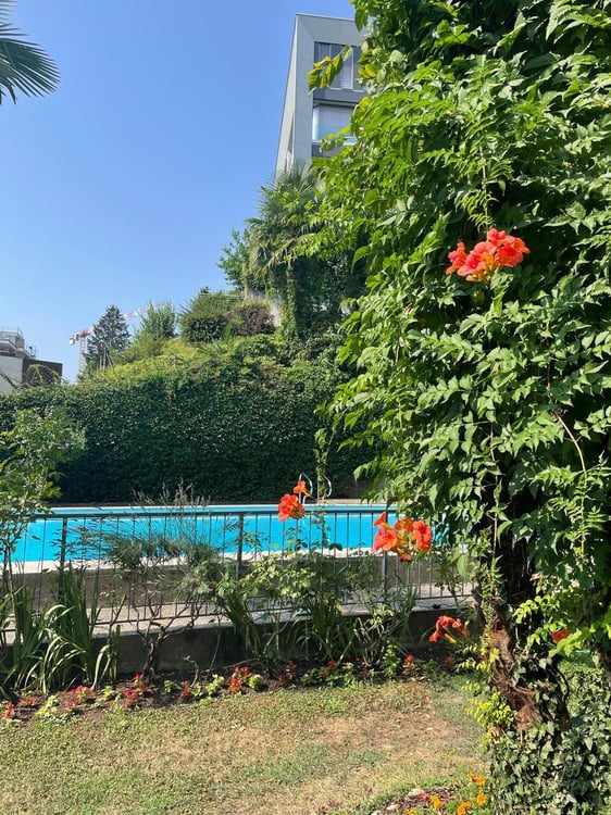 SPAZIOSO 2.5 LOCALI CON CUCINA ABITABILE E USO PISCINA 13