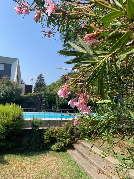 SPAZIOSO 2.5 LOCALI CON CUCINA ABITABILE E USO PISCINA 12