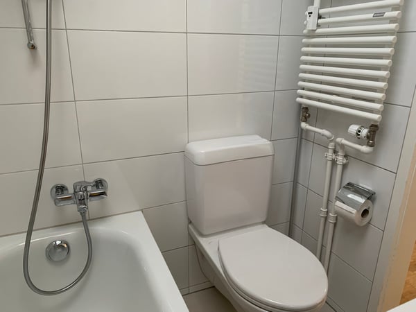 Charmantes 1.5 Zimmer-Dachgeschoss-Wohnung in Bassersdorf 8
