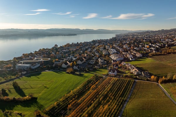Exklusive Terrassenwohnung mit Berg- und Seeblick 7