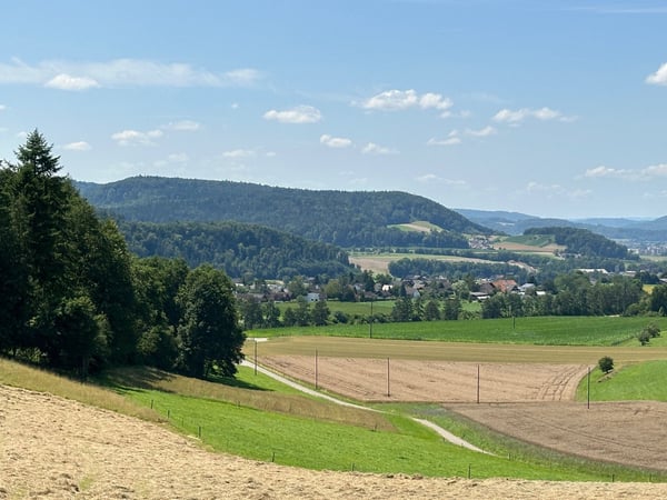 Attikawohnung mit grosser Terrasse – modern, hell & familienfreundlich 12