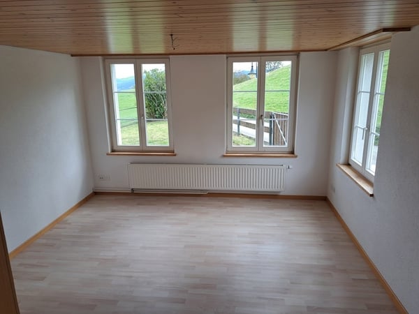 (Reserviert) Freistehendes 1.5 Zimmer Einfamilienhaus an toller Weitsicht-Lage 6