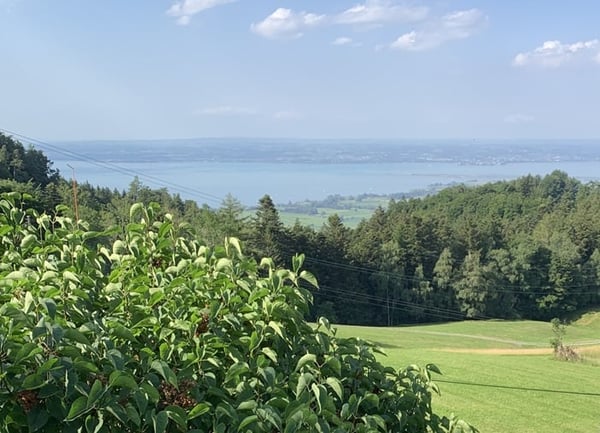 Freistehendes 1½ Zimmer EFH an Traumlage hoch über dem Bodensee 3